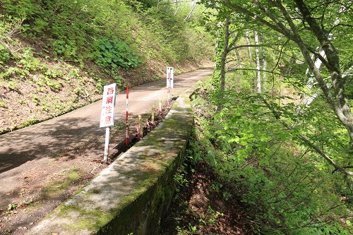 町道白神二ツ森線路肩補修事業実施前