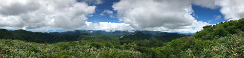 写真：神山地のブナ林を一望できる「二ッ森」