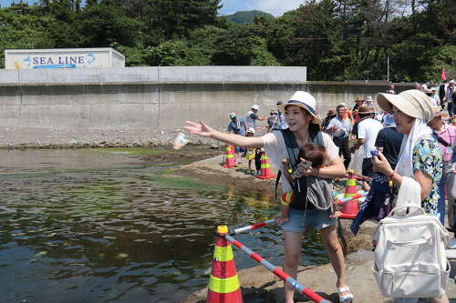 あわびの稚貝放流１