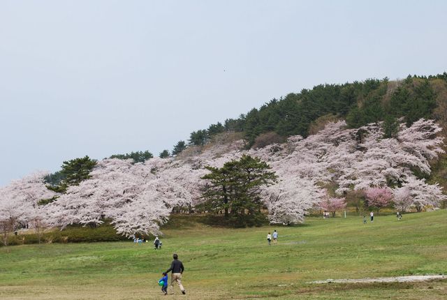 写真:芝生の広場ではピクニックを楽しむことができます