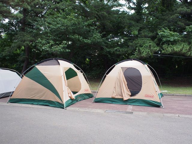 写真:テントやタープ、寝袋などのレンタルが可能