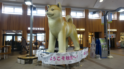 写真：秋田犬がお出迎え