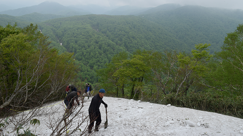 写真:白神山地雪山の様子