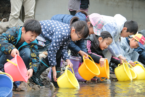 写真:稚魚を放流する子どもたち