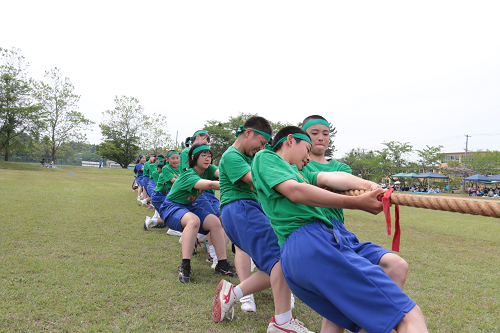 写真:綱引き