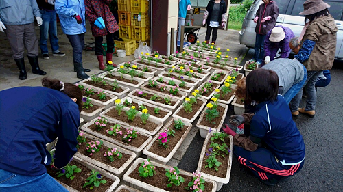 写真:海光苑の花植え2