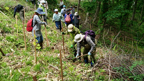 写真:植樹会の様子2