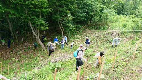 写真:山道を歩く様子1