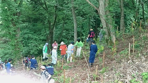 写真:山道を歩く様子2