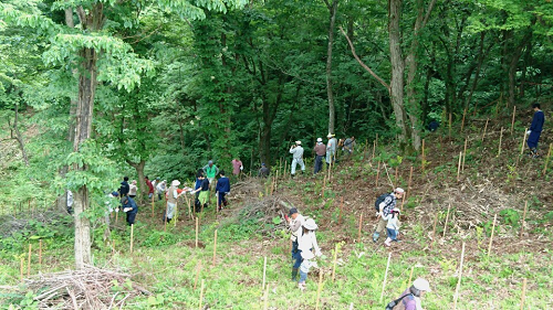 写真:山道を歩く様子3