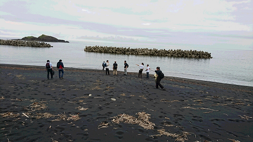 写真:黒い砂の中浜海岸見学2