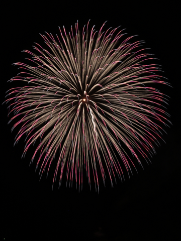 写真:雄島花火9