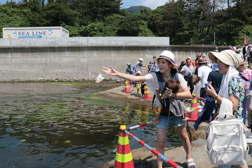 写真:あわびの稚貝放流1