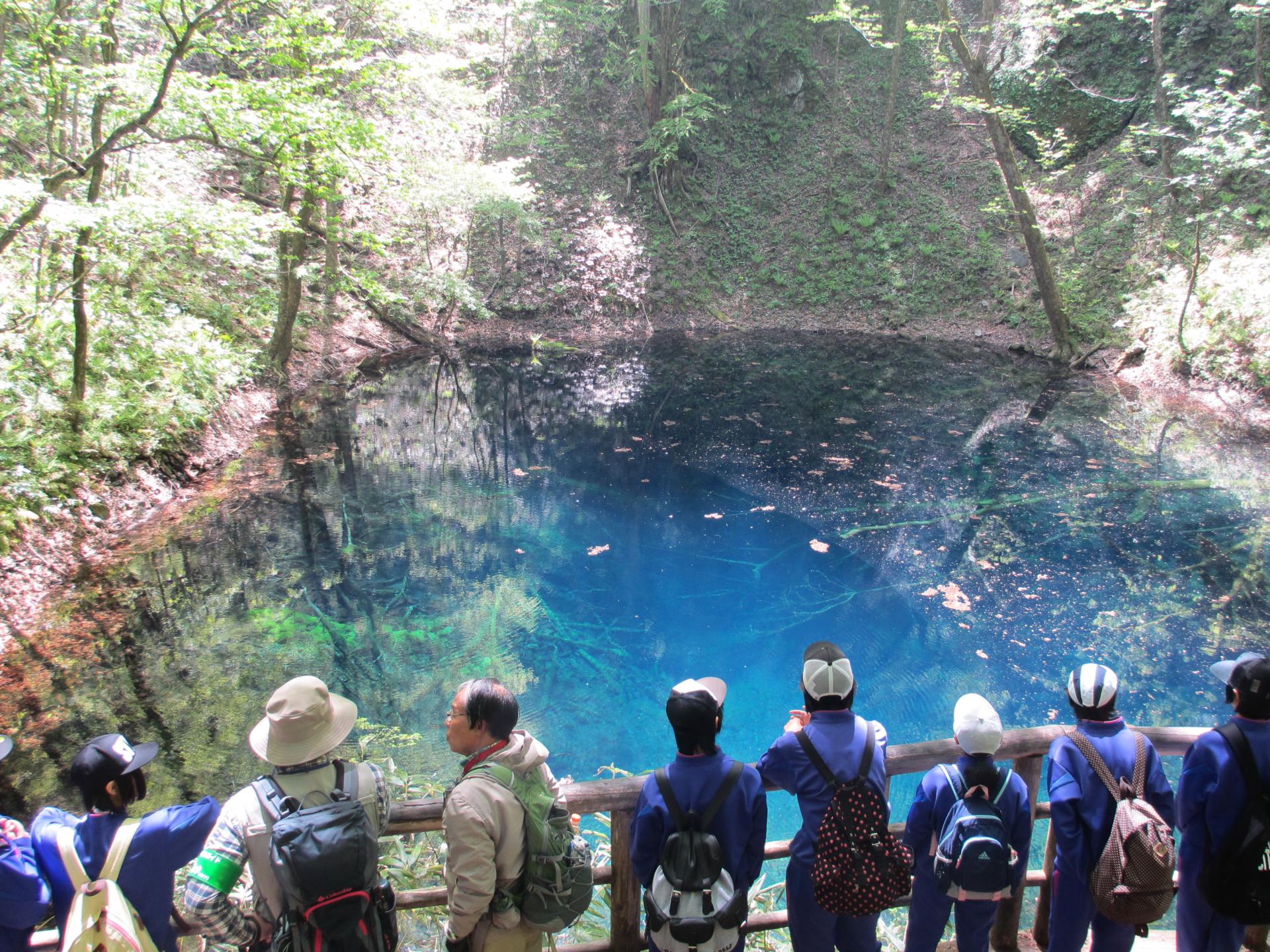 写真：十二湖３